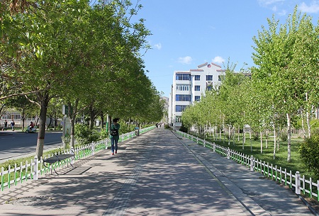 花園草坪護(hù)欄